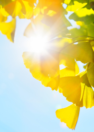 Brightening Eye Cream